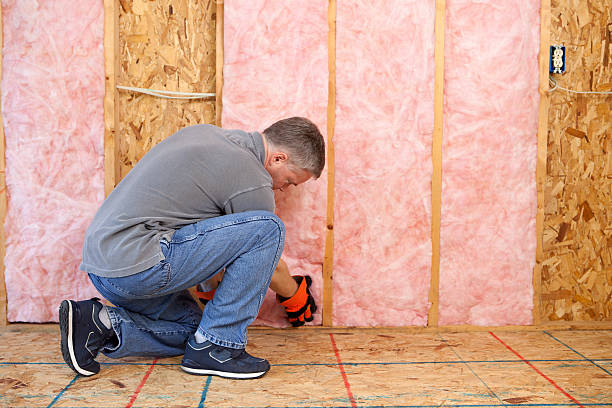 Best Commercial Insulation in Sycamore, GA